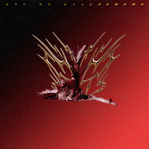 三级偷拍色网视频
